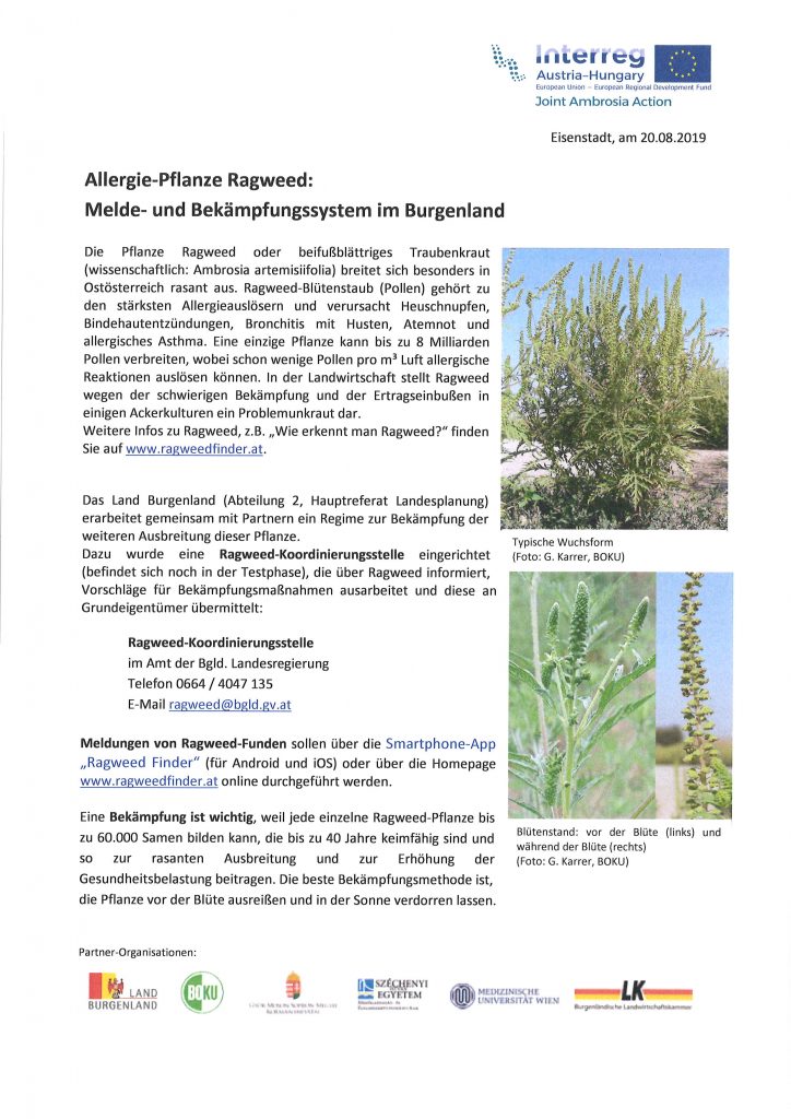 Mehr über den Artikel erfahren Information über Ragweed