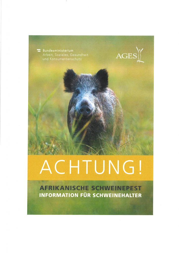 Mehr über den Artikel erfahren Information über die Afrikanische Schweinepest